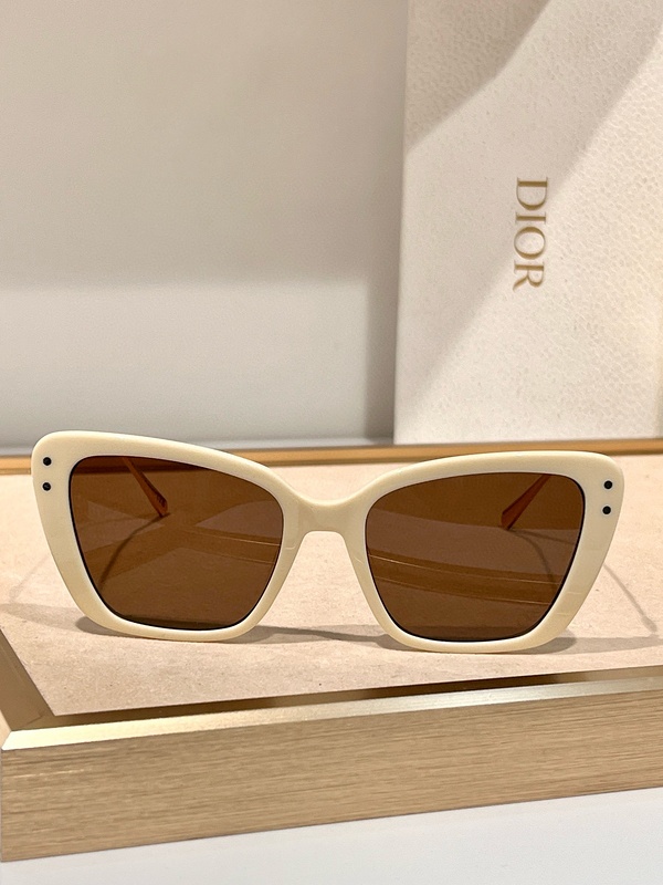 DIOR Sunglasses 12